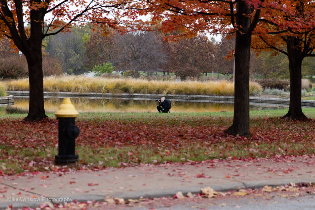 Saint Charles Mo Photographer, Saint Louis Photographer, photography, branding, art, portraiture, Forest Park Autumn Colors