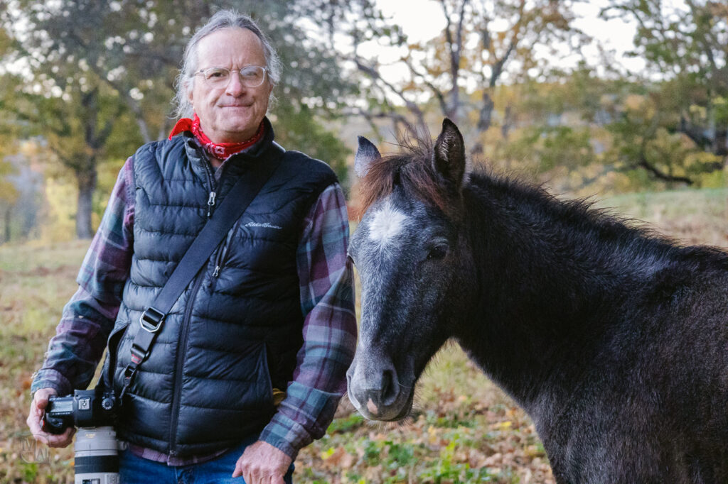 Photographer and wild horses