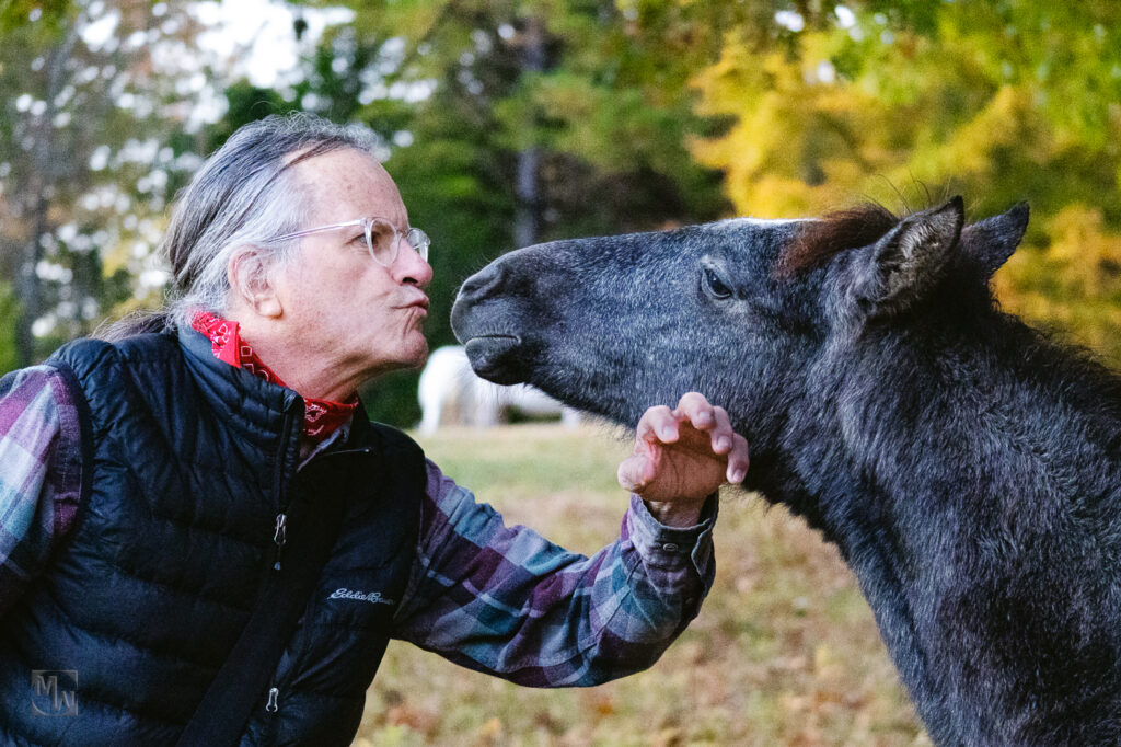 Photographer and wild horses